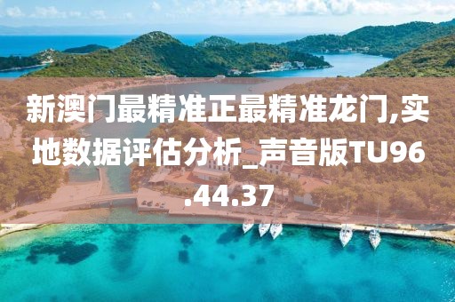 新澳门最精准正最精准龙门,实地数据评估分析_声音版TU96.44.37
