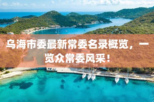 乌海市委最新常委名录概览，一览众常委风采！