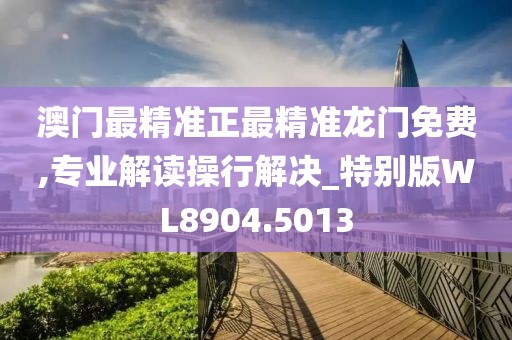 澳门最精准正最精准龙门免费,专业解读操行解决_特别版WL8904.5013