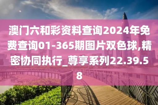 澳门六和彩资料查询2024年免费查询01-365期图片双色球,精密协同执行_尊享系列22.39.58