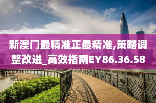 新澳门最精准正最精准,策略调整改进_高效指南EY86.36.58
