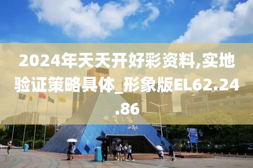 2024年天天开好彩资料,实地验证策略具体_形象版EL62.24.86