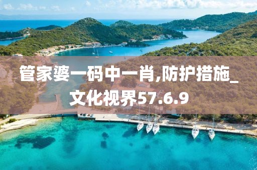 管家婆一码中一肖,防护措施_文化视界57.6.9