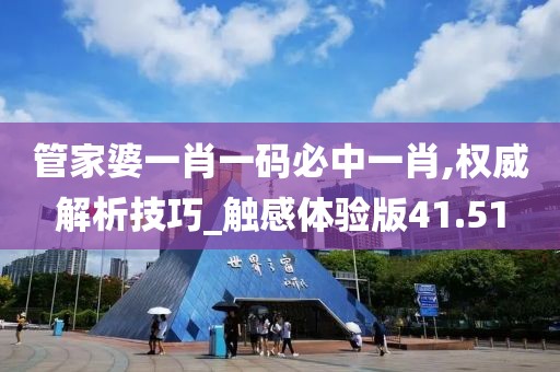 管家婆一肖一码必中一肖,权威解析技巧_触感体验版41.51