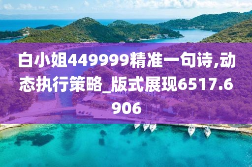 白小姐449999精准一句诗,动态执行策略_版式展现6517.6906