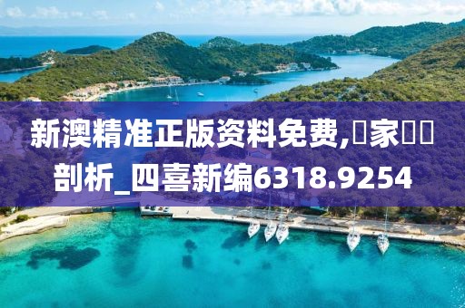 新澳精准正版资料免费,專家觀點剖析_四喜新编6318.9254