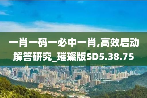 一肖一码一必中一肖,高效启动解答研究_璀璨版SD5.38.75
