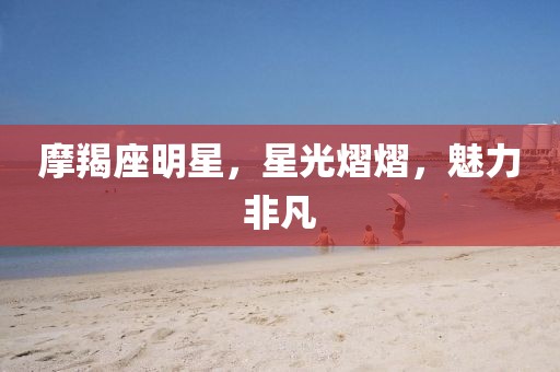 摩羯座明星，星光熠熠，魅力非凡