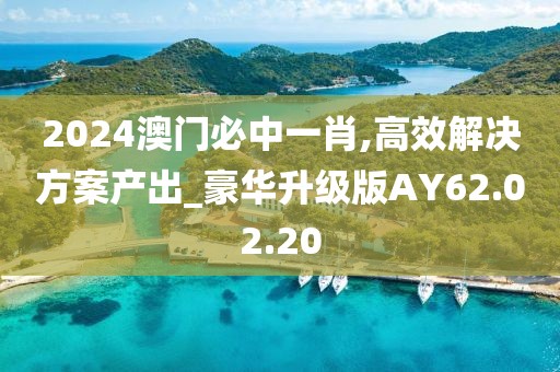 2024澳门必中一肖,高效解决方案产出_豪华升级版AY62.02.20