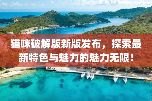 猫咪破解版新版发布，探索最新特色与魅力的魅力无限！