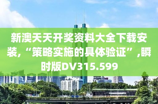 新澳天天开奖资料大全下载安装,“策略实施的具体验证”,瞬时版DV315.599