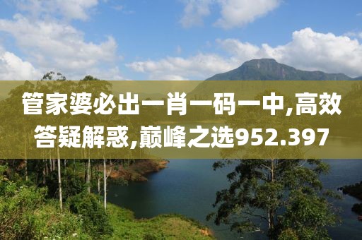 管家婆必出一肖一码一中,高效答疑解惑,巅峰之选952.397