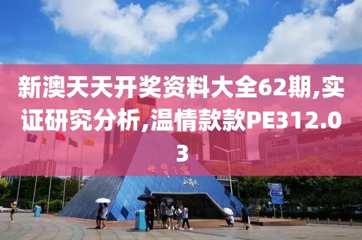 新澳天天开奖资料大全62期,实证研究分析,温情款款PE312.03
