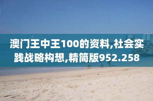澳门王中王100的资料,社会实践战略构想,精简版952.258