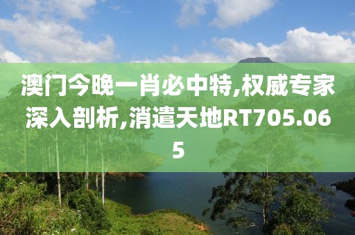 澳门今晚一肖必中特,权威专家深入剖析,消遣天地RT705.065