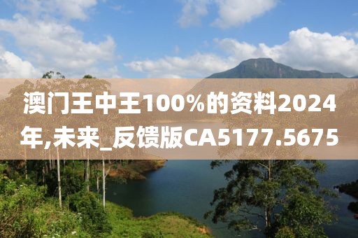 澳门王中王100%的资料2024年,未来_反馈版CA5177.5675