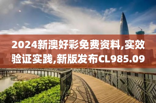 2024新澳好彩免费资料,实效验证实践,新版发布CL985.09