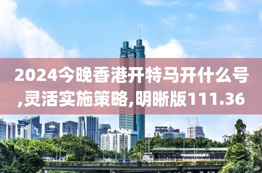 2024今晚香港开特马开什么号,灵活实施策略,明晰版111.36