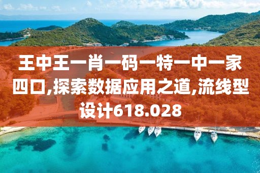 王中王一肖一码一特一中一家四口,探索数据应用之道,流线型设计618.028