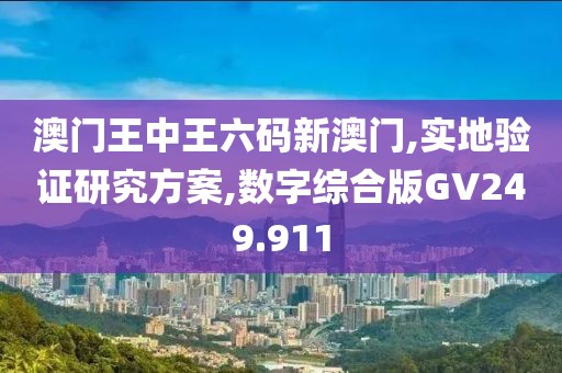 澳门王中王六码新澳门,实地验证研究方案,数字综合版GV249.911