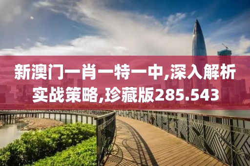 新澳门一肖一特一中,深入解析实战策略,珍藏版285.543