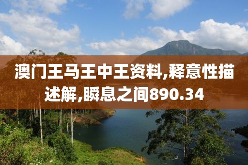 澳门王马王中王资料,释意性描述解,瞬息之间890.34