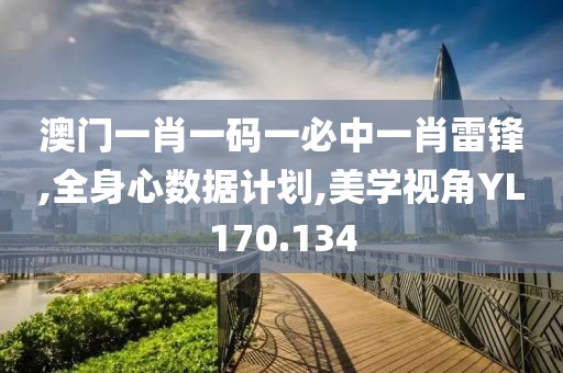 澳门一肖一码一必中一肖雷锋,全身心数据计划,美学视角YL170.134