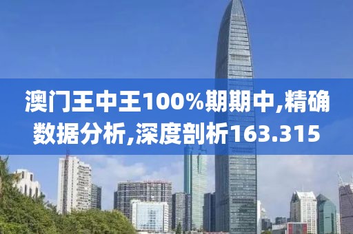澳门王中王100%期期中,精确数据分析,深度剖析163.315