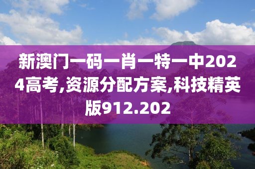 新澳门一码一肖一特一中2024高考,资源分配方案,科技精英版912.202