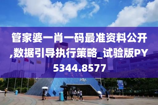 管家婆一肖一码最准资料公开,数据引导执行策略_试验版PY5344.8577