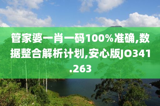管家婆一肖一码100%准确,数据整合解析计划,安心版JO341.263
