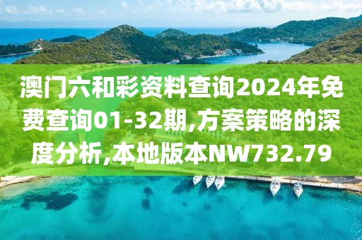 澳门六和彩资料查询2024年免费查询01-32期,方案策略的深度分析,本地版本NW732.79