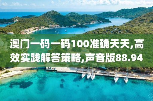 澳门一码一码100准确天天,高效实践解答策略,声音版88.94