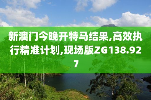 新澳门今晚开特马结果,高效执行精准计划,现场版ZG138.927