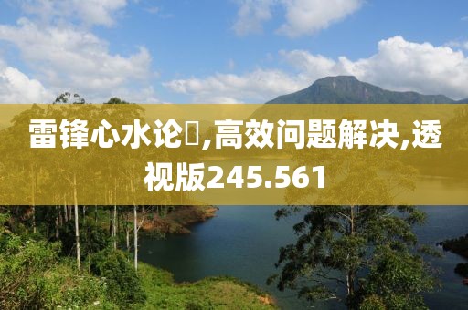 雷锋心水论枟,高效问题解决,透视版245.561