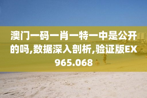 澳门一码一肖一特一中是公开的吗,数据深入剖析,验证版EX965.068
