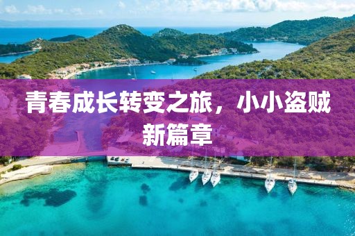 青春成长转变之旅，小小盗贼新篇章