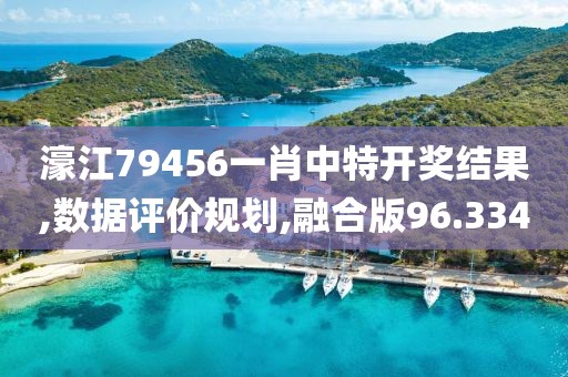 濠江79456一肖中特开奖结果,数据评价规划,融合版96.334