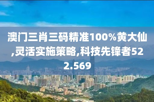 澳门三肖三码精准100%黄大仙,灵活实施策略,科技先锋者522.569