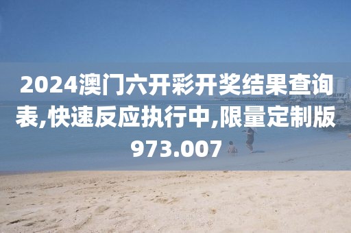 2024澳门六开彩开奖结果查询表,快速反应执行中,限量定制版973.007