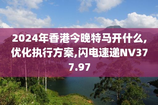 2024年香港今晚特马开什么,优化执行方案,闪电速递NV377.97