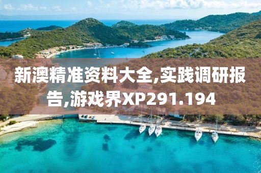 新澳精准资料大全,实践调研报告,游戏界XP291.194