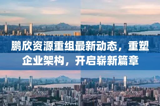 鹏欣资源重组最新动态，重塑企业架构，开启崭新篇章