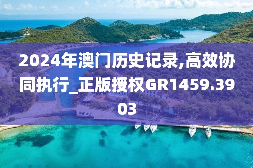 2024年澳门历史记录,高效协同执行_正版授权GR1459.3903
