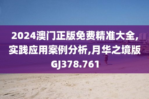 2024澳门正版免费精准大全,实践应用案例分析,月华之境版GJ378.761
