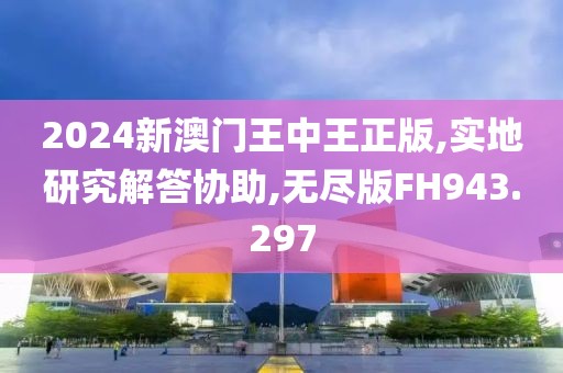 2024新澳门王中王正版,实地研究解答协助,无尽版FH943.297
