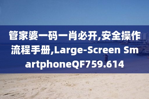 管家婆一码一肖必开,安全操作流程手册,Large-Screen SmartphoneQF759.614