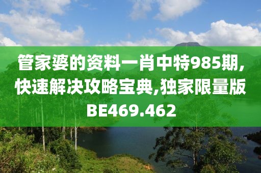 管家婆的资料一肖中特985期,快速解决攻略宝典,独家限量版BE469.462