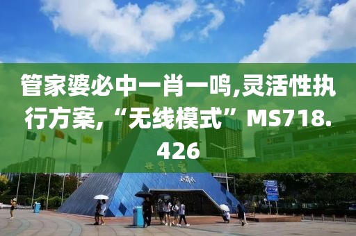 管家婆必中一肖一鸣,灵活性执行方案,“无线模式”MS718.426