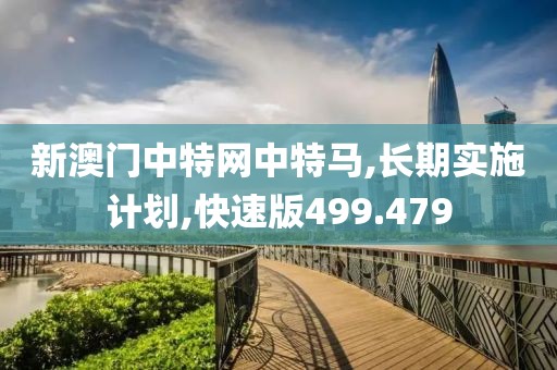 新澳门中特网中特马,长期实施计划,快速版499.479